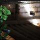 Illustration for article titled Abandoned Shipyard Halls Look Magical After Heavy Rain